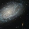 спиральная галактика (Sc) в созвездии Лев.