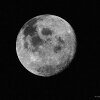 нарастающая луна фото
