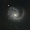 Галактика М99 (01)